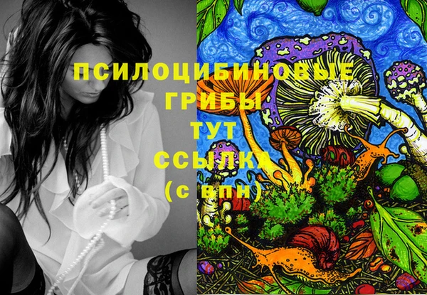 дмт Армянск