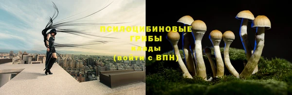 марки lsd Богородицк